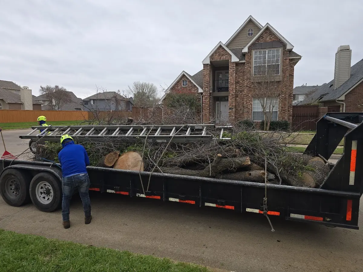 Expert Lot Clearing with proper safety equipment in Hugo